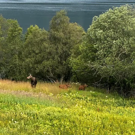 Tjeldoya Slott Pensionat Hov (Tjeldsund)